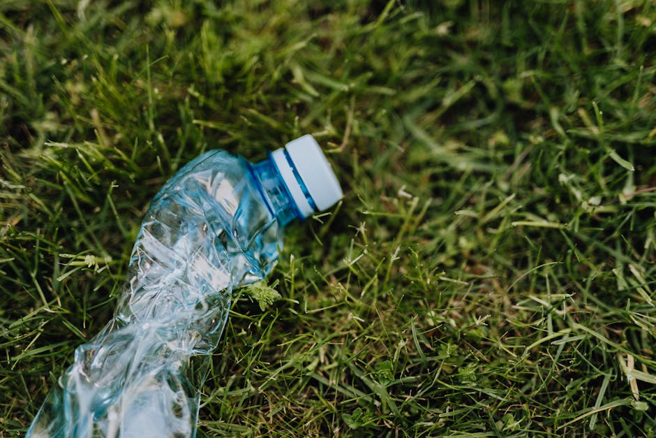 A crumpled, transparent plastic water bottle with a white and blue cap lying on a patch of green grass. The bottle appears to be empty and slightly deformed, with some creases visible on its surface. The grass surrounding the bottle is lush, with fine blades and small weed-like plants interspersed, creating a natural outdoor environment. The scene is evenly lit, suggesting daylight, and the focus is on the bottle in the foreground, with the background grass slightly blurred. This image exemplifies typical roadside or garden litter, which may be addressed through local or private rubbish removal services, such as those offered by House Clearance Highbury, to maintain cleanliness and environmental standards in residential or public spaces.